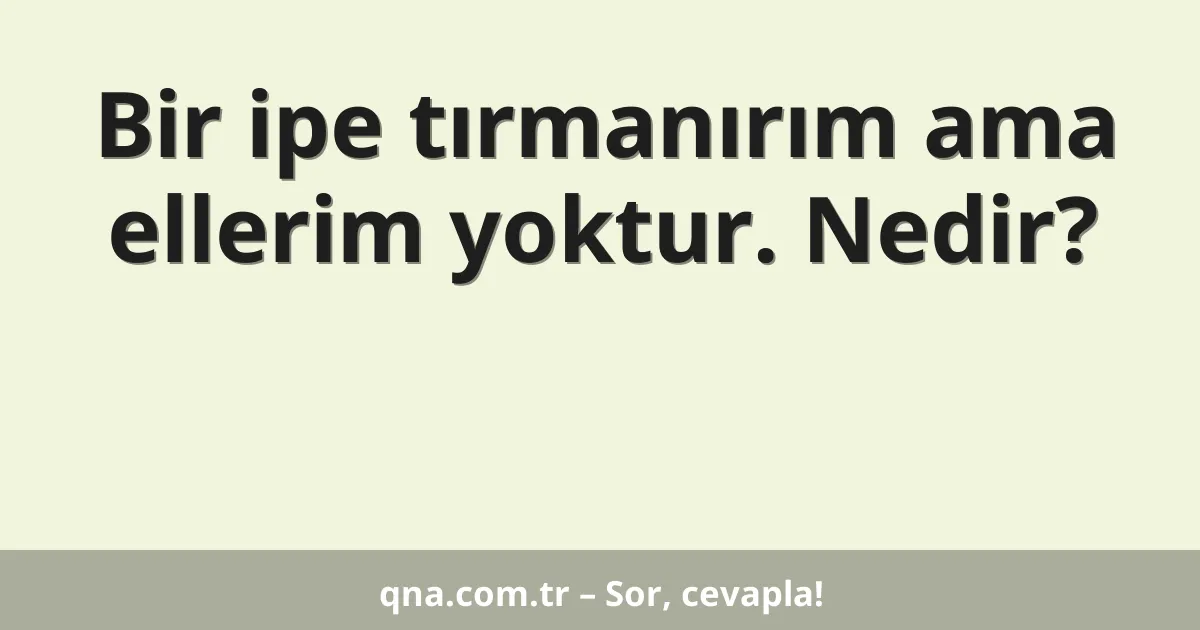 Bir ipe tırmanırım ama ellerim yoktur. Nedir?