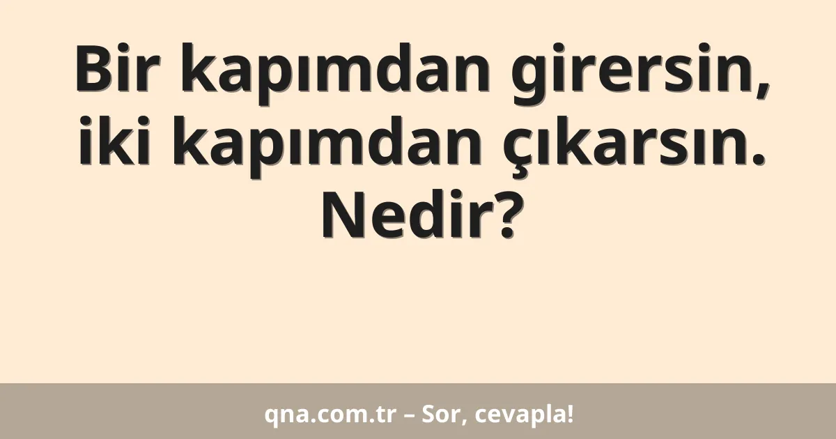 Bir kapımdan girersin, iki kapımdan çıkarsın. Nedir?