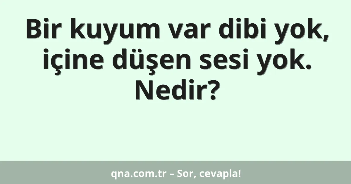 Bir kuyum var dibi yok, içine düşen sesi yok. Nedir?