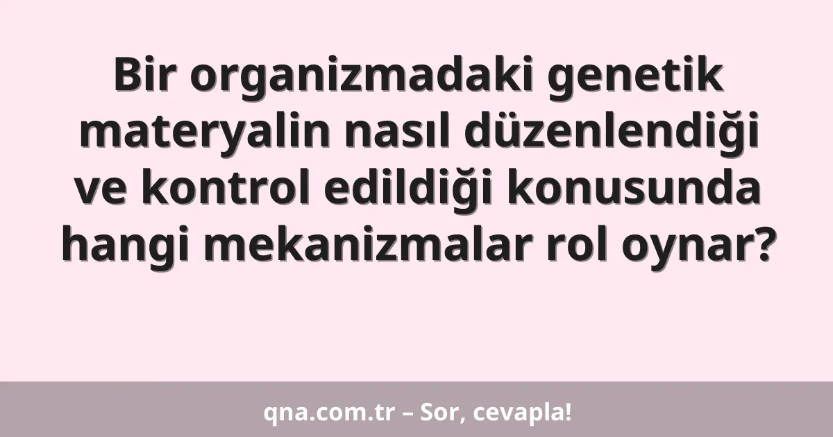 Bir organizmadaki genetik materyalin nasıl düzenlendiği ve kontrol edildiği konusunda hangi mekanizmalar rol oynar?