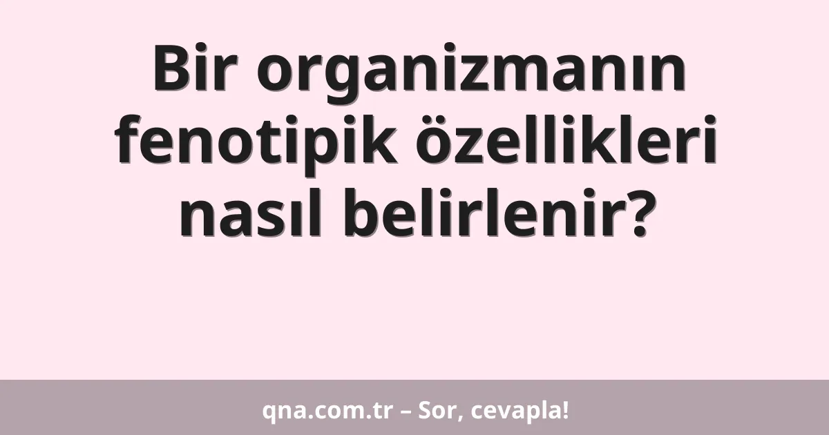 Bir organizmanın fenotipik özellikleri nasıl belirlenir?