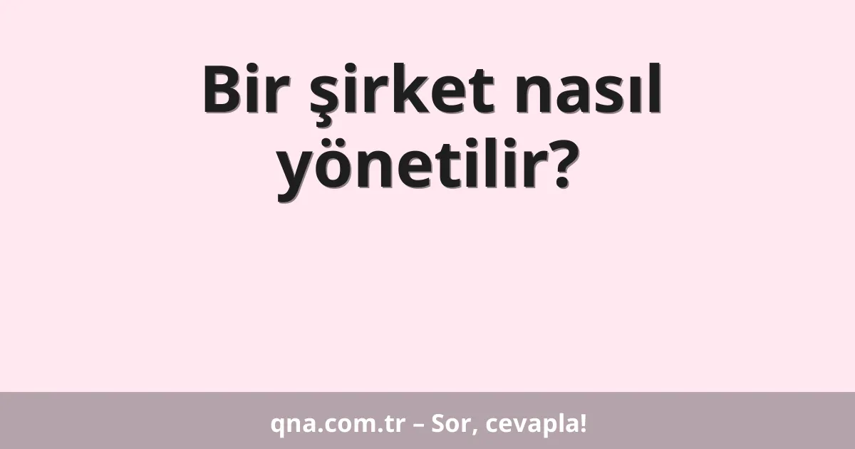 Bir şirket nasıl yönetilir?
