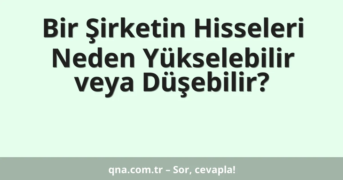Bir Şirketin Hisseleri Neden Yükselebilir veya Düşebilir?