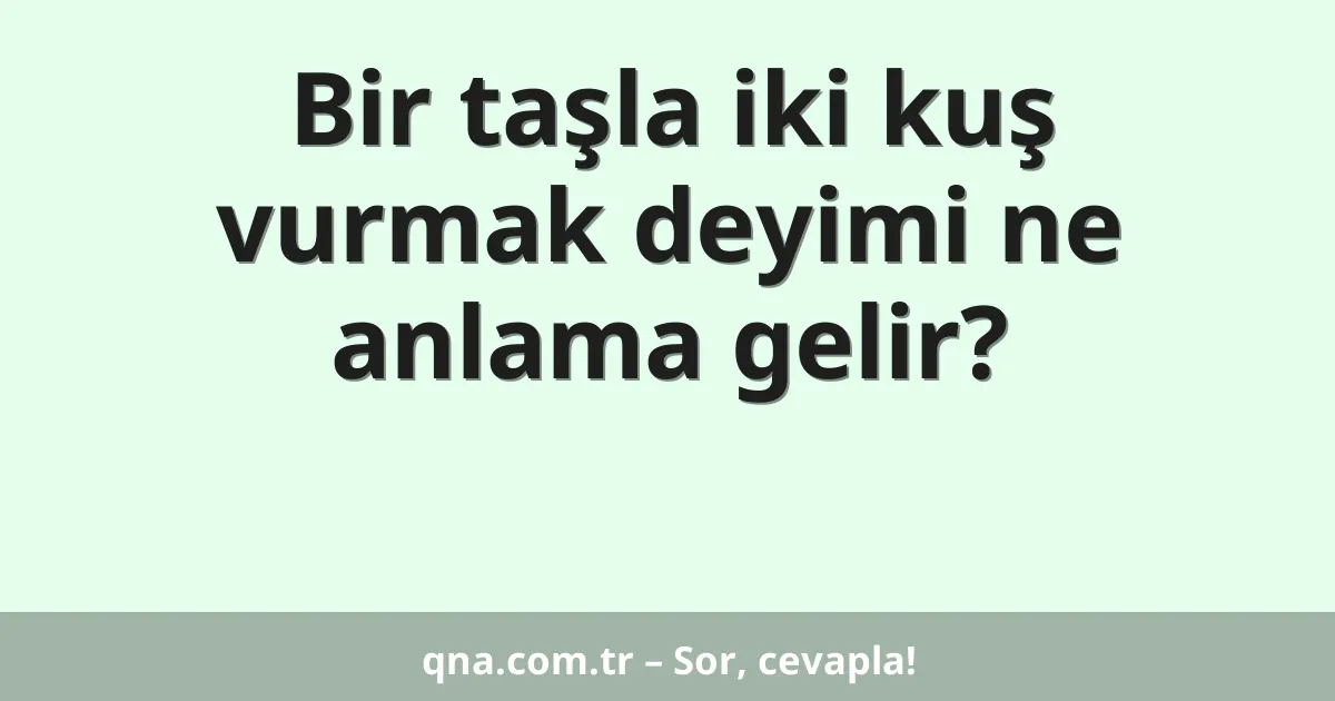 Bir taşla iki kuş vurmak deyimi ne anlama gelir?