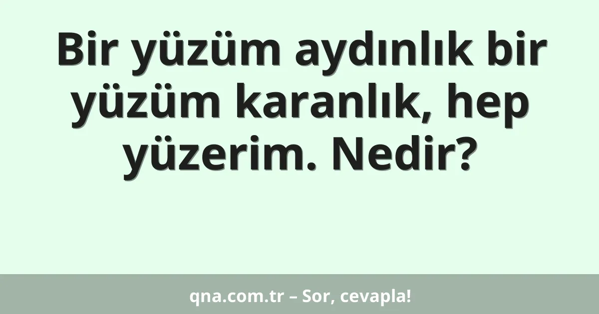 Bir yüzüm aydınlık bir yüzüm karanlık, hep yüzerim. Nedir?