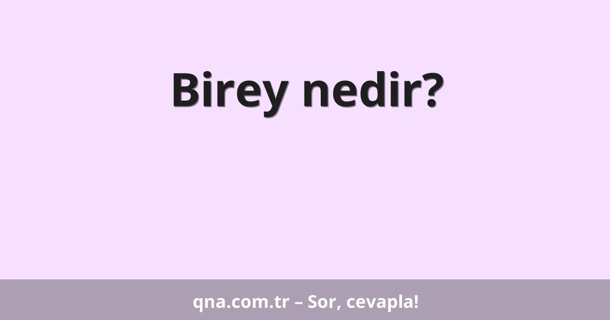 Birey nedir?
