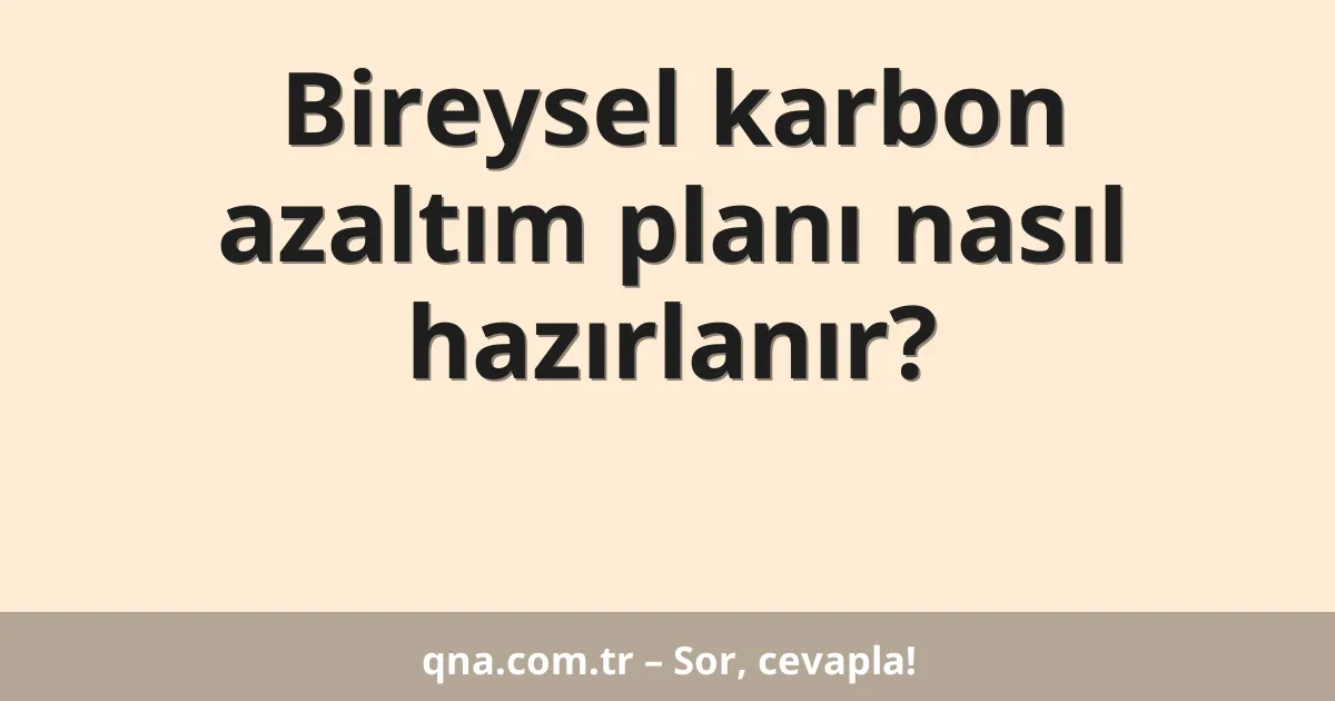 Bireysel karbon azaltım planı nasıl hazırlanır?