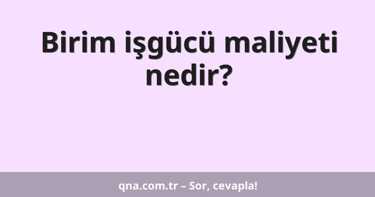 Birim işgücü maliyeti nedir?