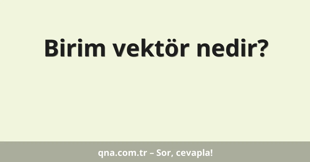 Birim vektör nedir?