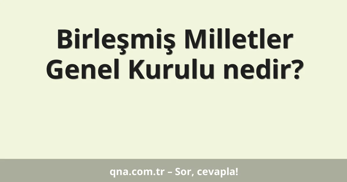 Birleşmiş Milletler Genel Kurulu nedir?