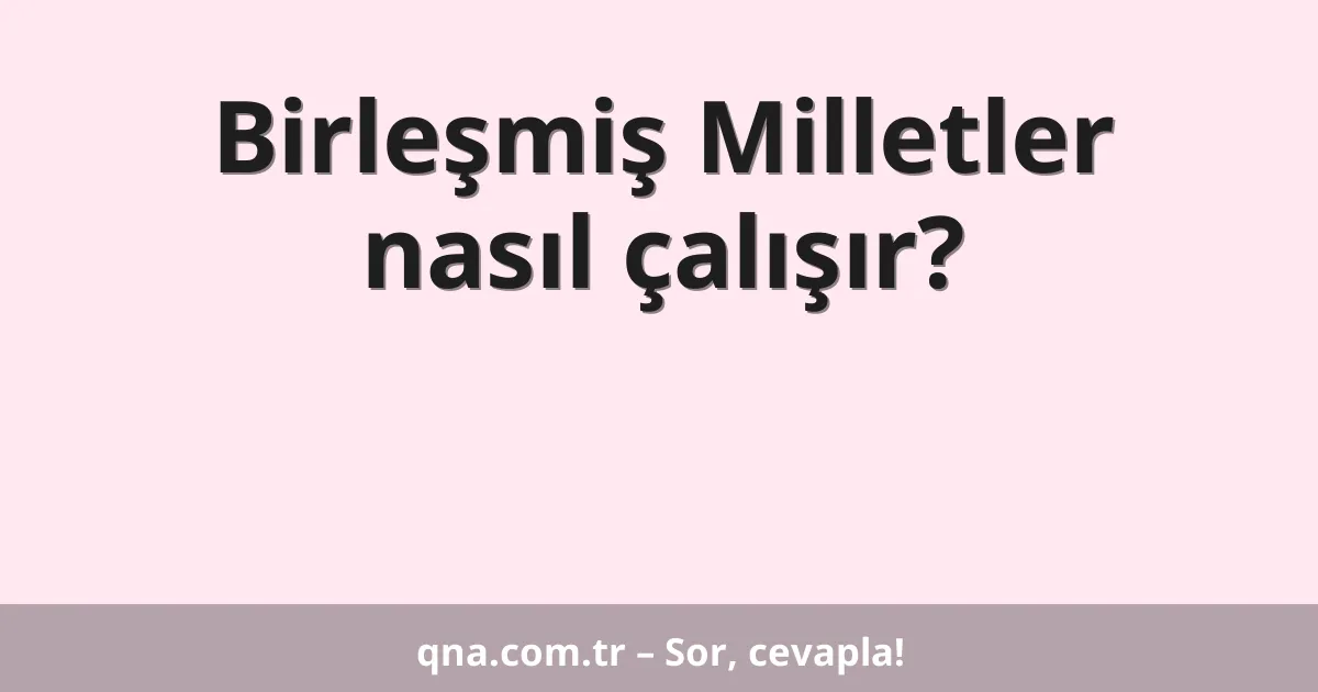 Birleşmiş Milletler nasıl çalışır?