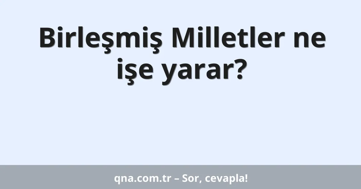 Birleşmiş Milletler ne işe yarar?