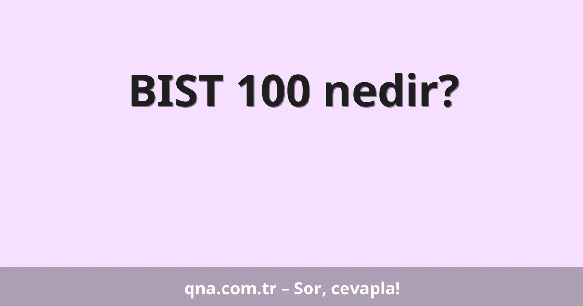BIST 100 nedir?