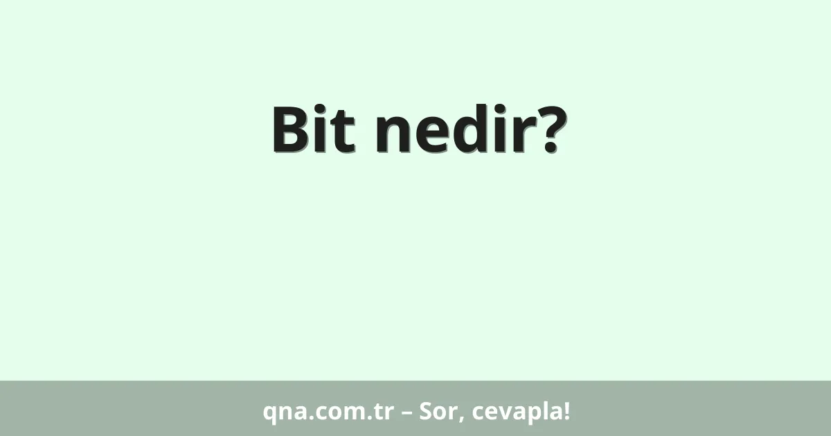 Bit nedir?