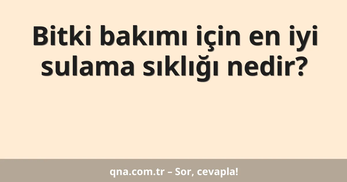 Bitki bakımı için en iyi sulama sıklığı nedir?