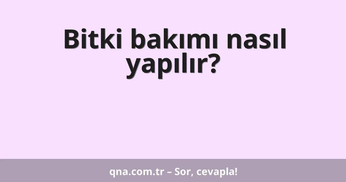 Bitki bakımı nasıl yapılır?
