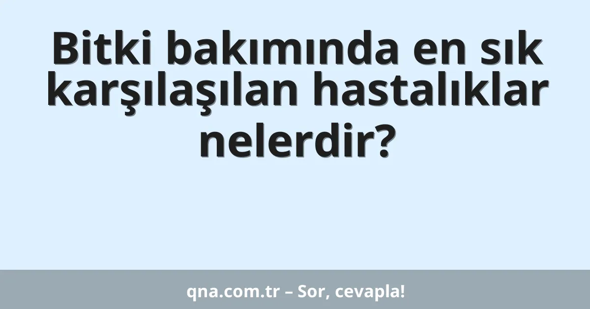Bitki bakımında en sık karşılaşılan hastalıklar nelerdir?