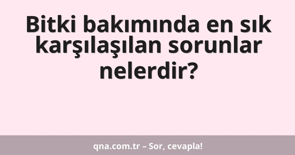 Bitki bakımında en sık karşılaşılan sorunlar nelerdir?