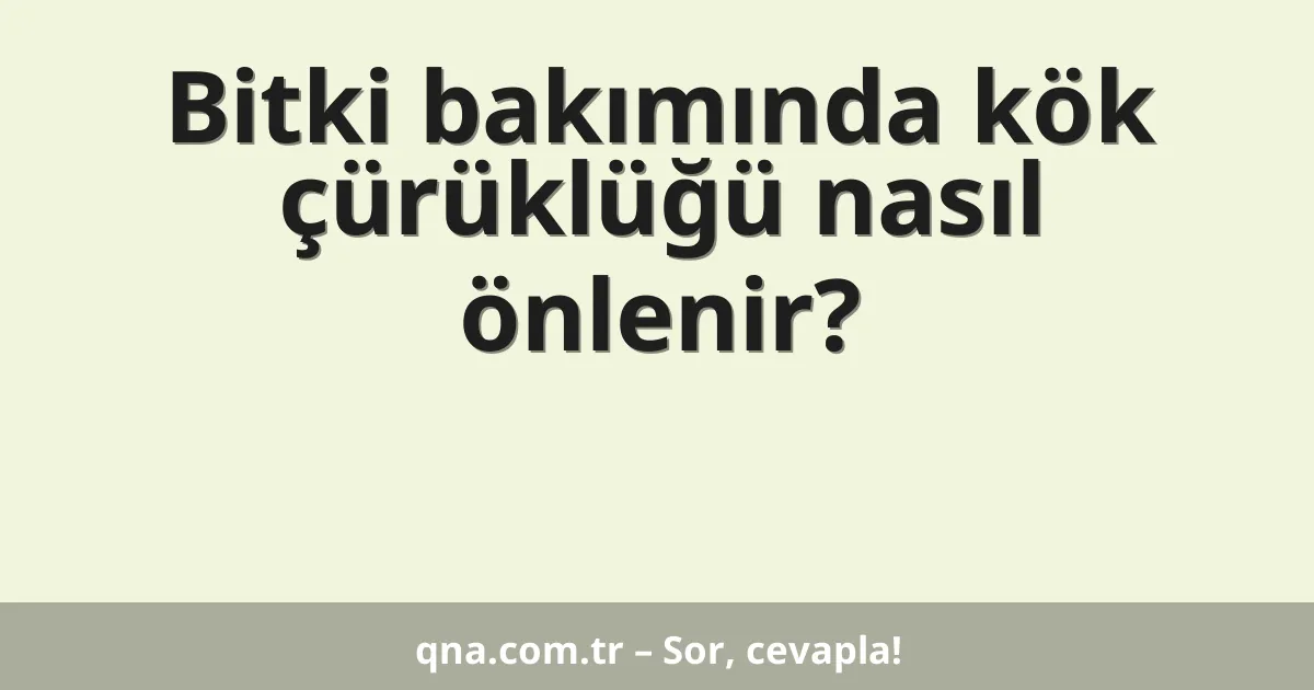 Bitki bakımında kök çürüklüğü nasıl önlenir?