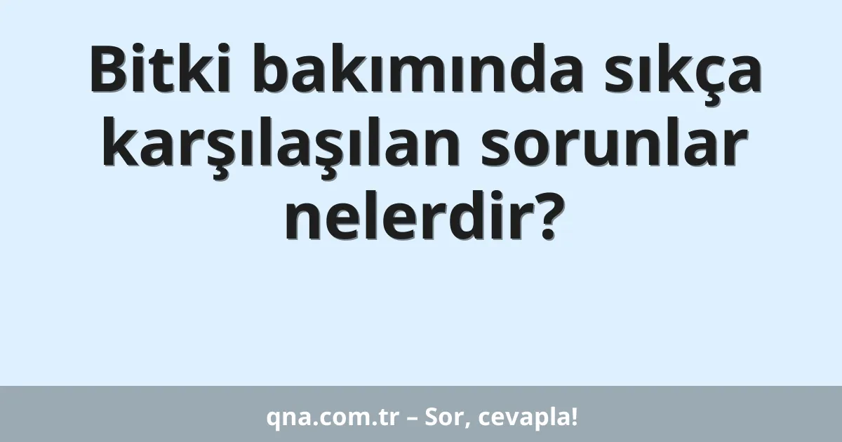 Bitki bakımında sıkça karşılaşılan sorunlar nelerdir?