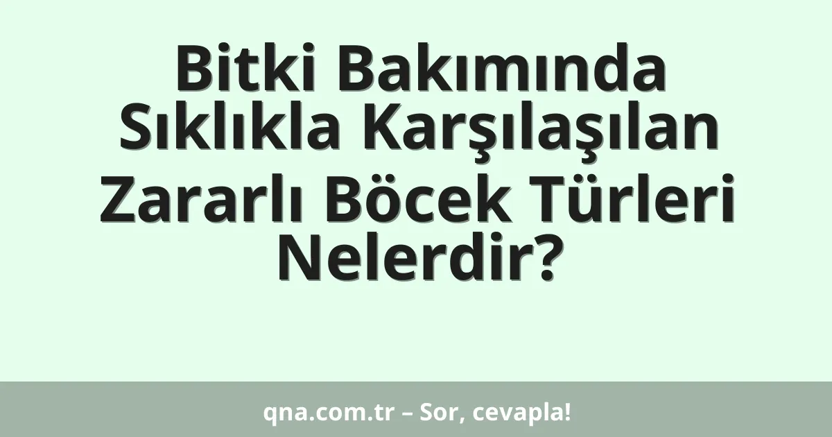 Bitki Bakımında Sıklıkla Karşılaşılan Zararlı Böcek Türleri Nelerdir?