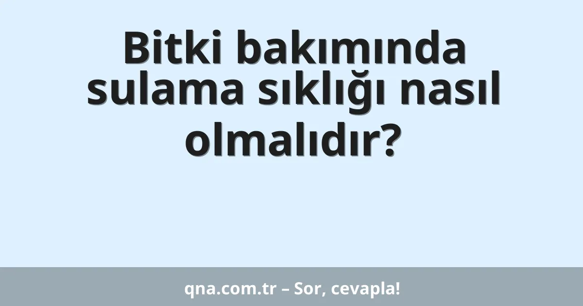 Bitki bakımında sulama sıklığı nasıl olmalıdır?