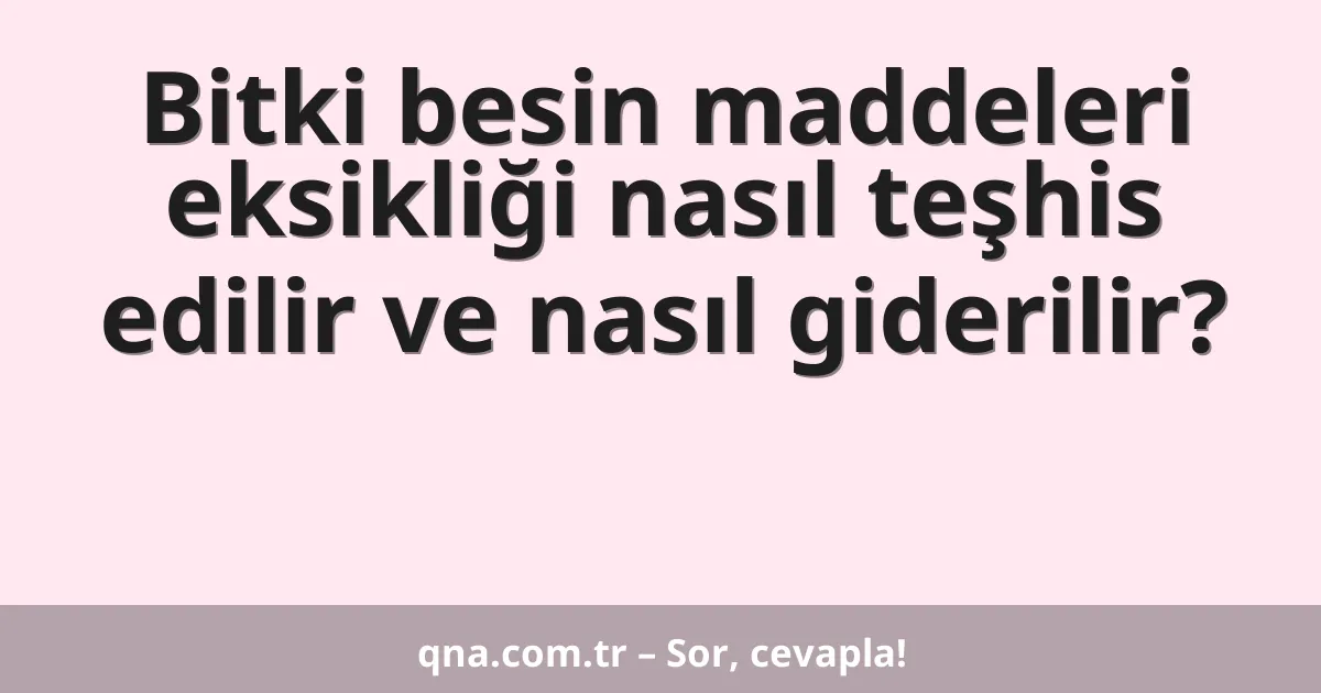 Bitki besin maddeleri eksikliği nasıl teşhis edilir ve nasıl giderilir?