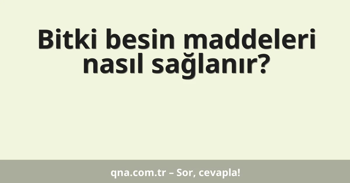 Bitki besin maddeleri nasıl sağlanır?