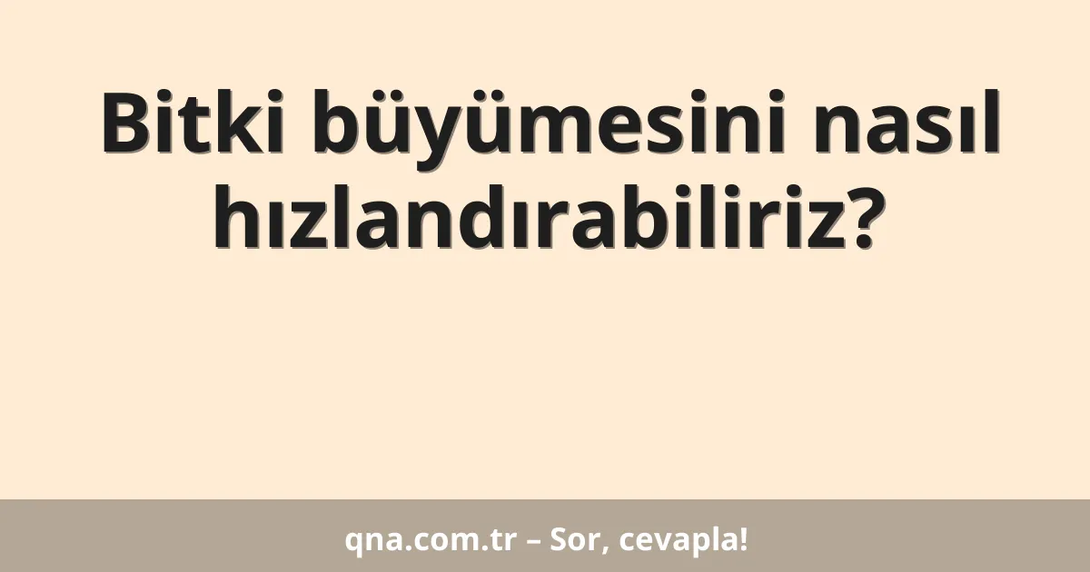 Bitki büyümesini nasıl hızlandırabiliriz?