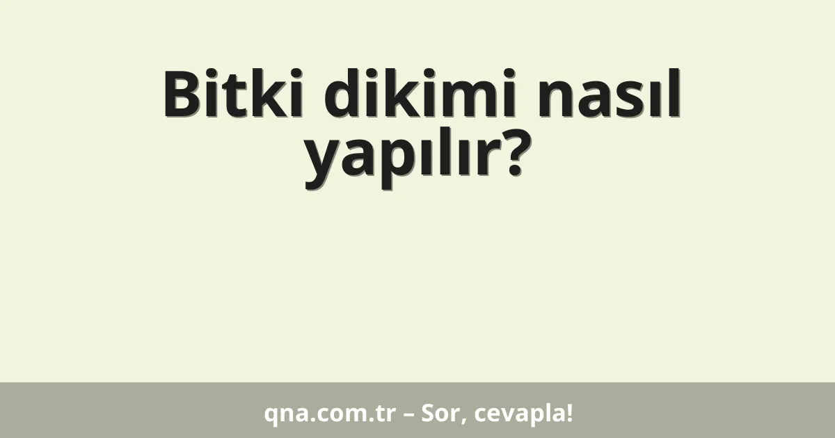 Bitki dikimi nasıl yapılır?
