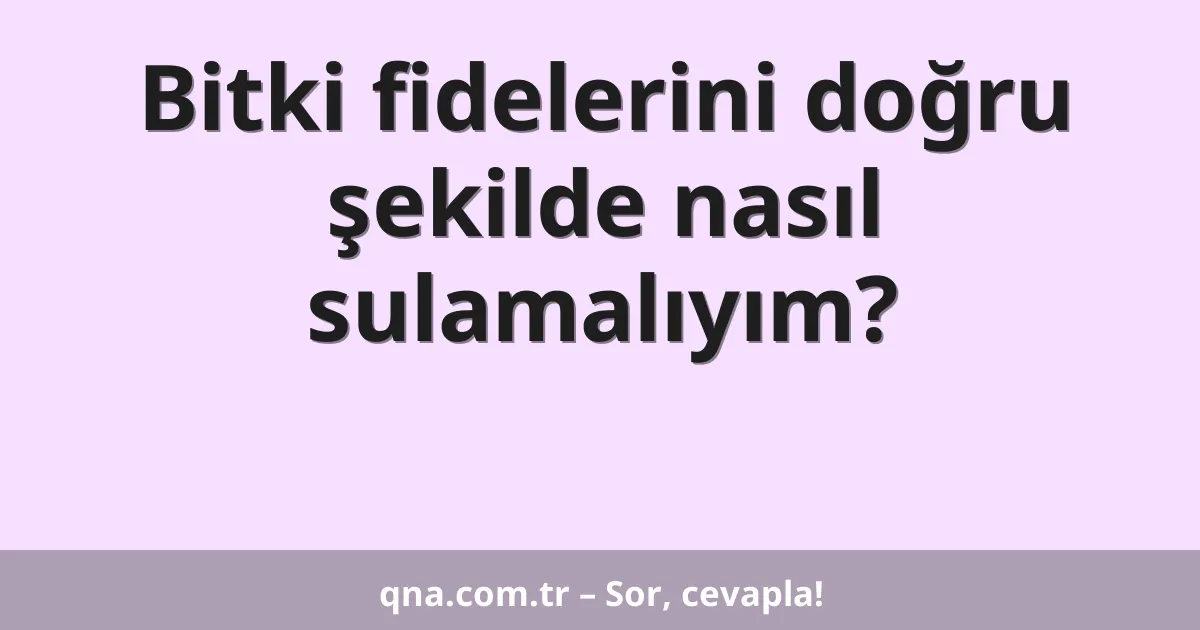Bitki fidelerini doğru şekilde nasıl sulamalıyım?