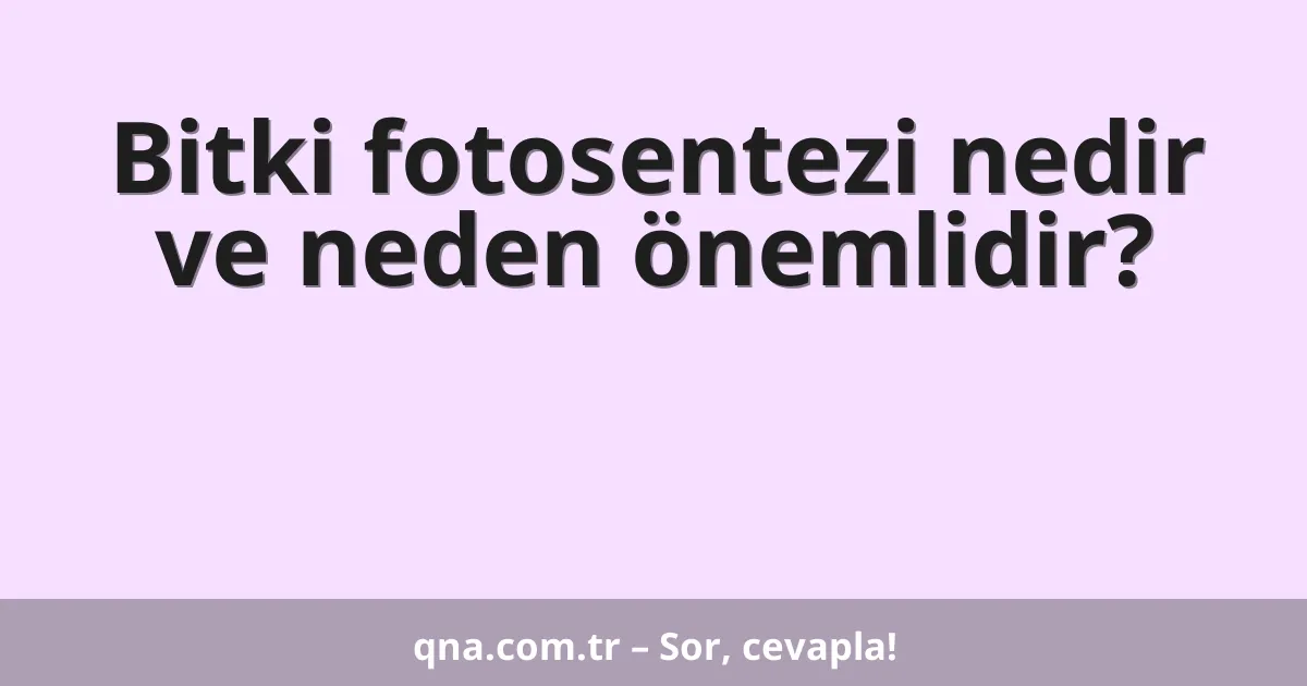 Bitki fotosentezi nedir ve neden önemlidir?