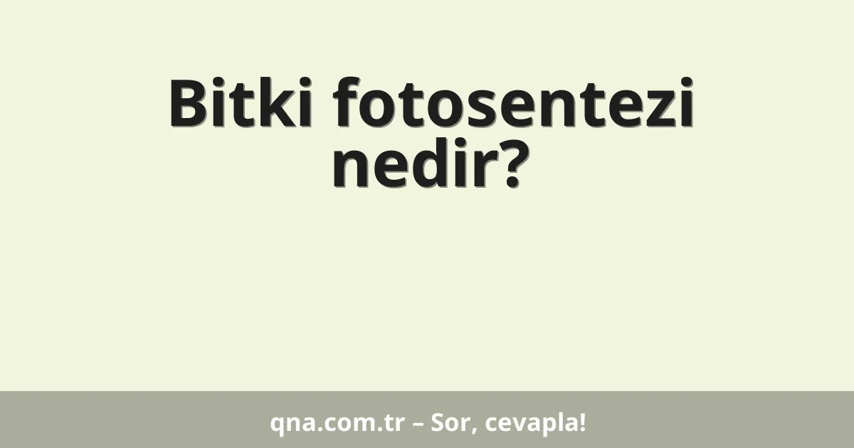 Bitki fotosentezi nedir?