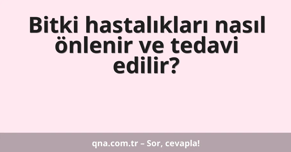 Bitki hastalıkları nasıl önlenir ve tedavi edilir?