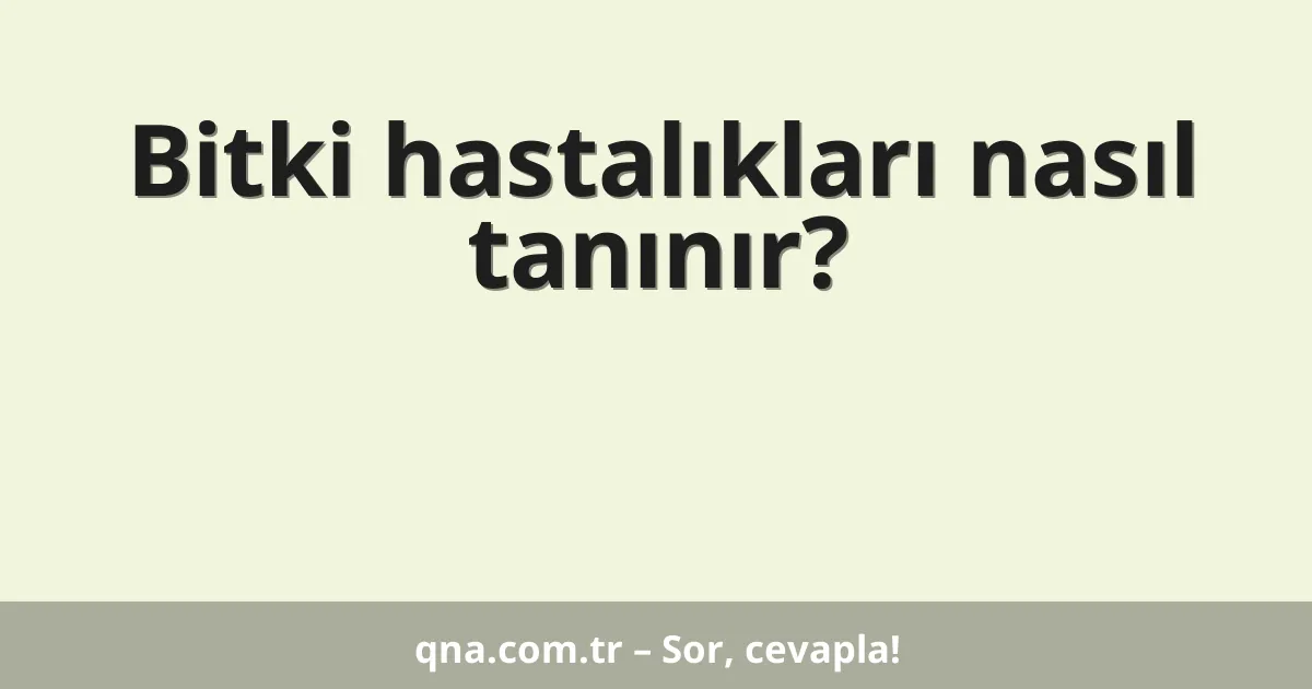 Bitki hastalıkları nasıl tanınır?