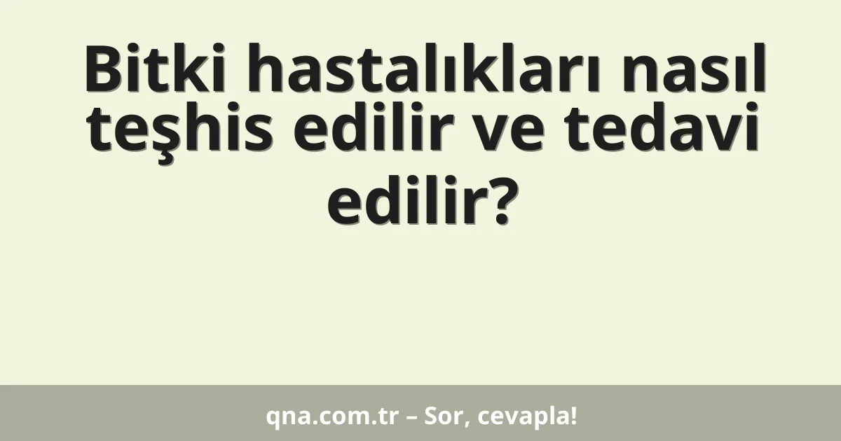 Bitki hastalıkları nasıl teşhis edilir ve tedavi edilir?