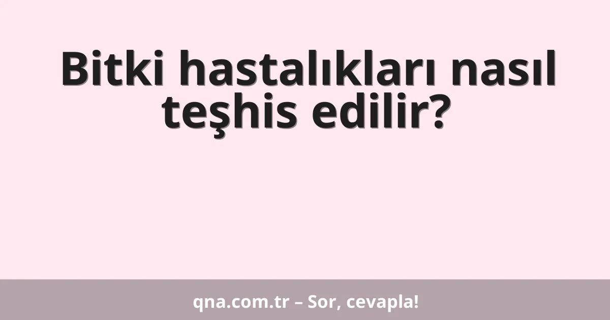 Bitki hastalıkları nasıl teşhis edilir?