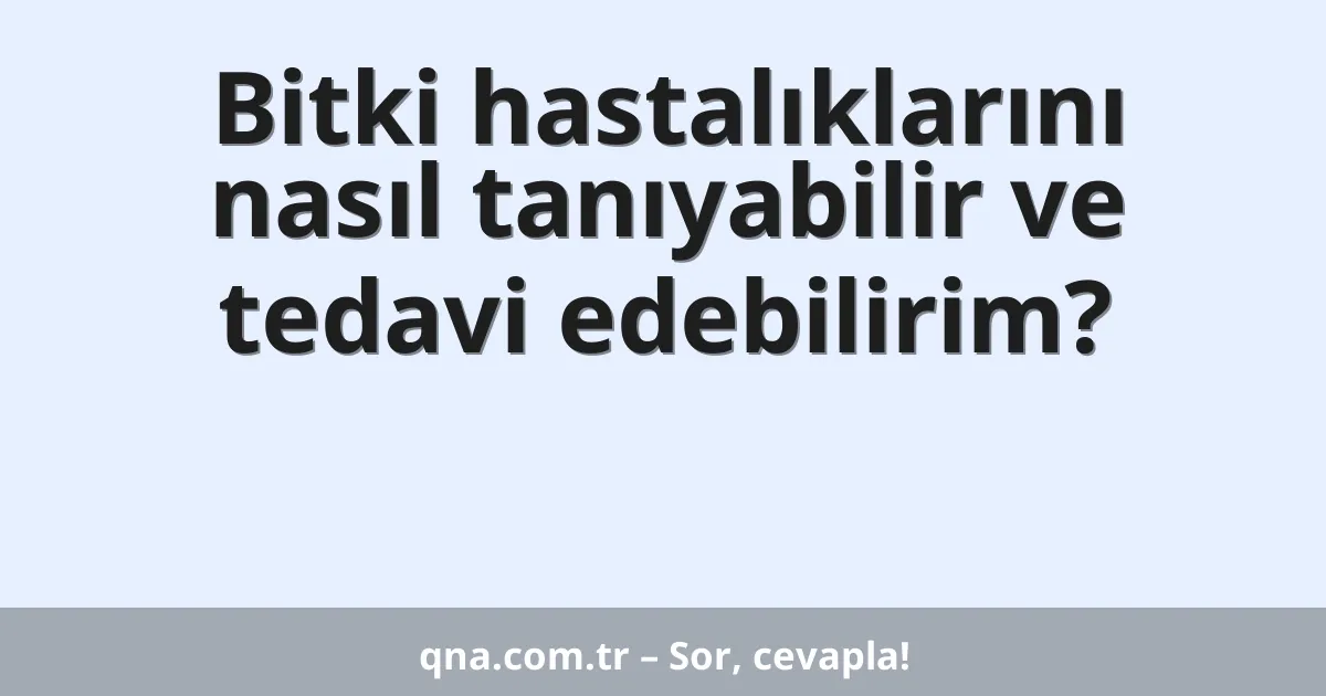 Bitki hastalıklarını nasıl tanıyabilir ve tedavi edebilirim?