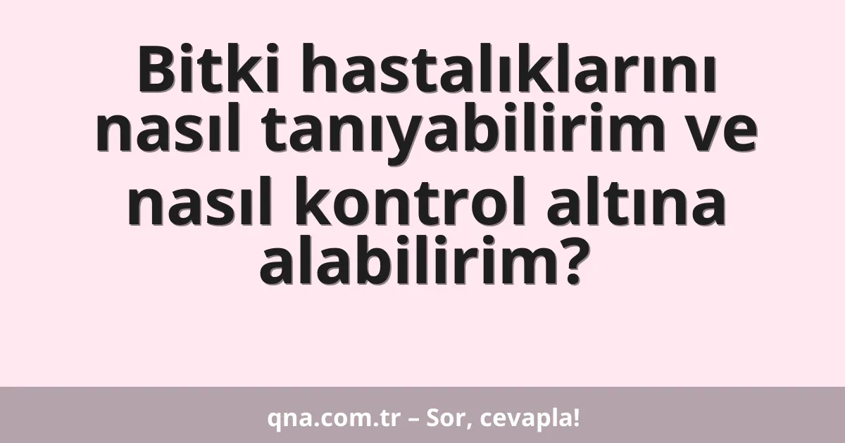 Bitki hastalıklarını nasıl tanıyabilirim ve nasıl kontrol altına alabilirim?