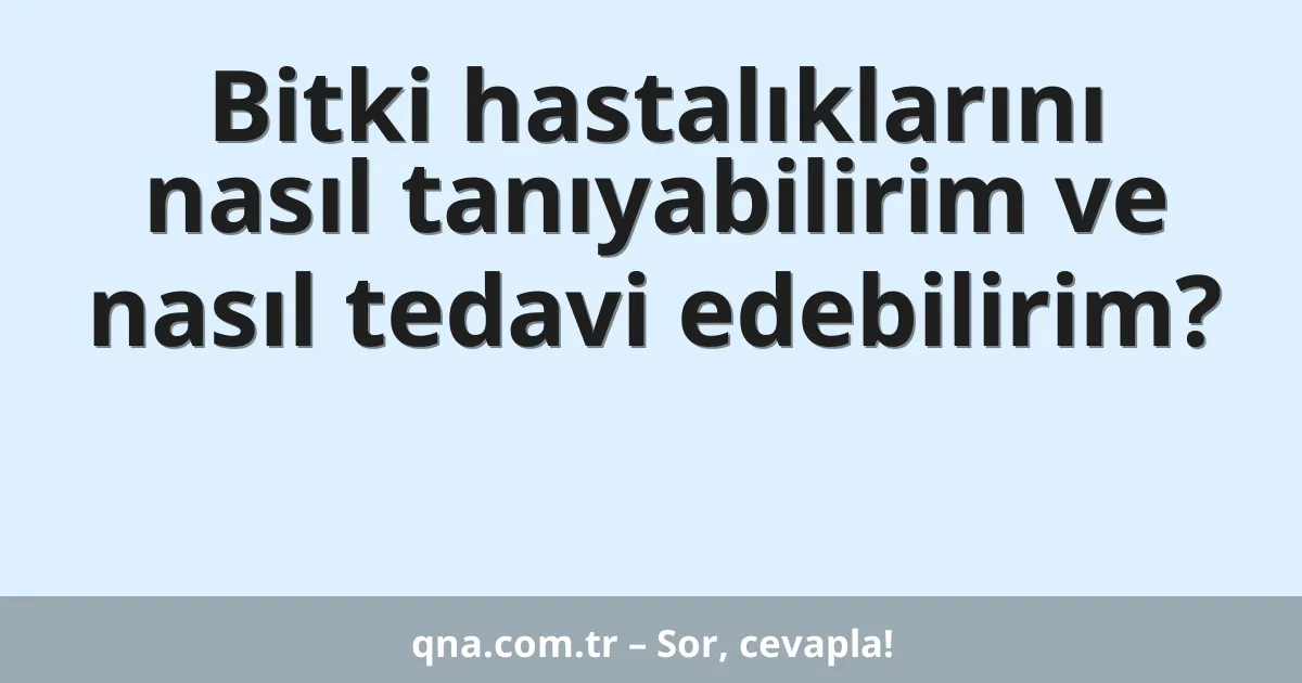 Bitki hastalıklarını nasıl tanıyabilirim ve nasıl tedavi edebilirim?