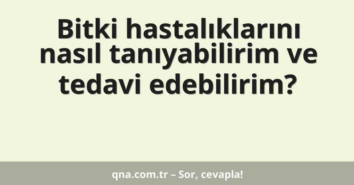 Bitki hastalıklarını nasıl tanıyabilirim ve tedavi edebilirim?
