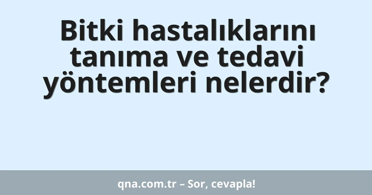 Bitki hastalıklarını tanıma ve tedavi yöntemleri nelerdir?