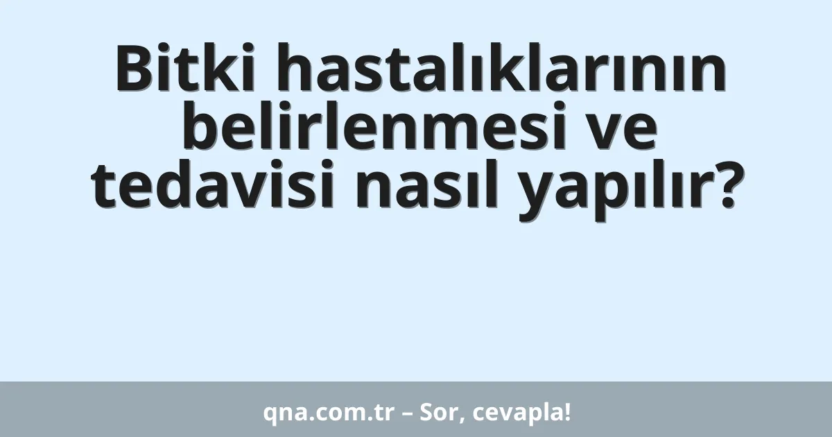 Bitki hastalıklarının belirlenmesi ve tedavisi nasıl yapılır?