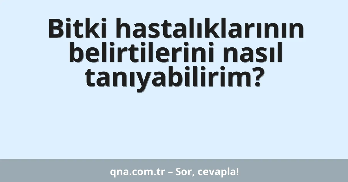 Bitki hastalıklarının belirtilerini nasıl tanıyabilirim?