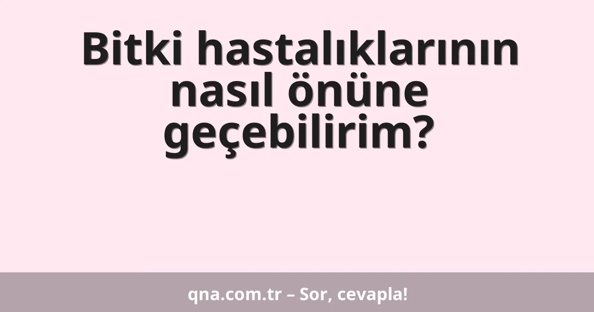 Bitki hastalıklarının nasıl önüne geçebilirim?