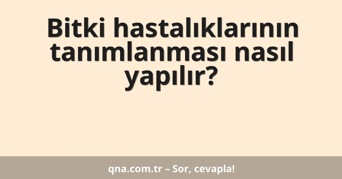 Bitki hastalıklarının tanımlanması nasıl yapılır?