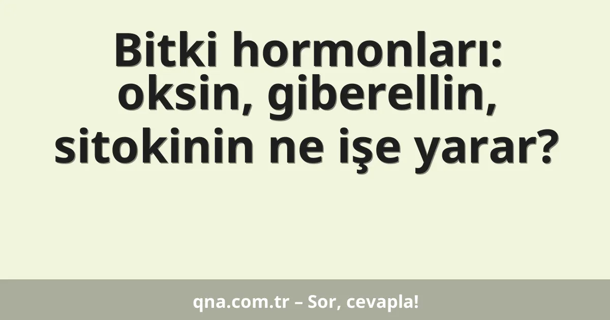 Bitki hormonları: oksin, giberellin, sitokinin ne işe yarar?