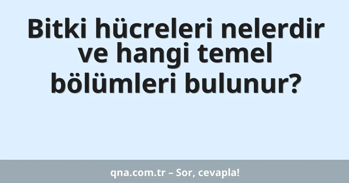 Bitki hücreleri nelerdir ve hangi temel bölümleri bulunur?