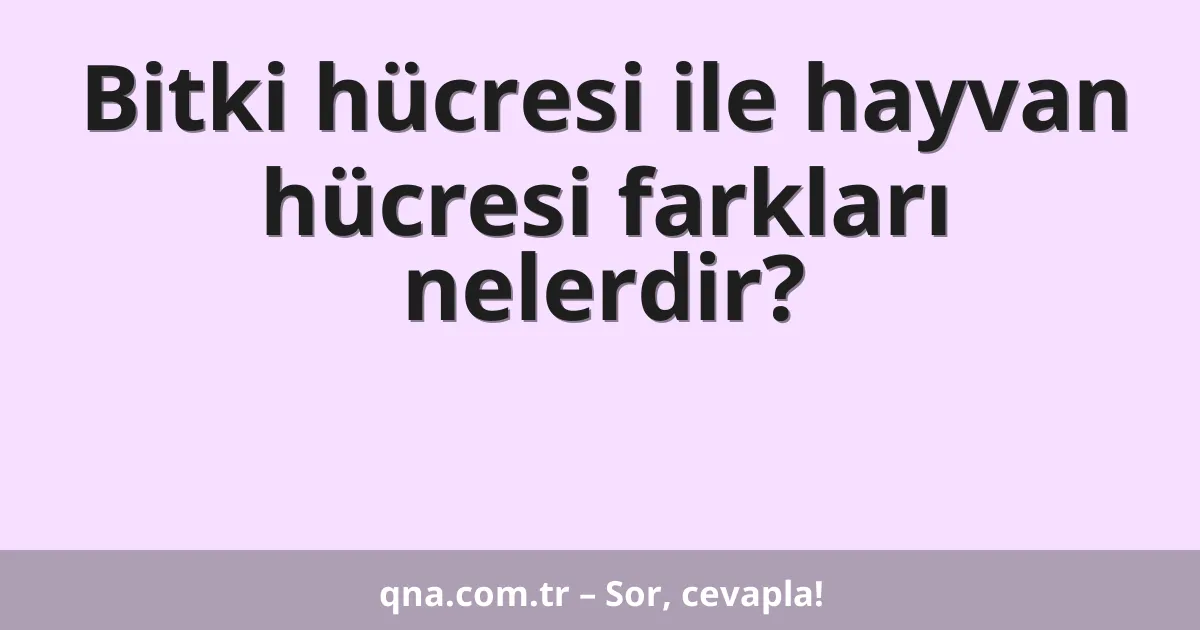 Bitki hücresi ile hayvan hücresi farkları nelerdir?
