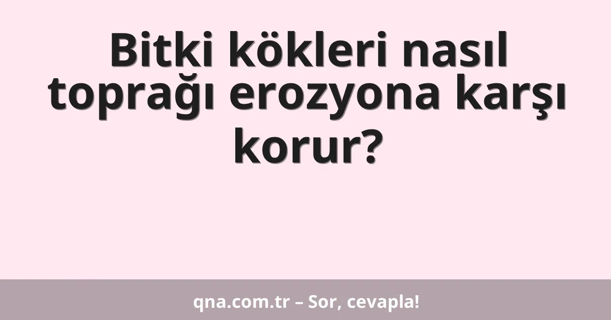 Bitki kökleri nasıl toprağı erozyona karşı korur?